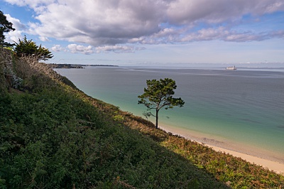 Belle Ile en Mer agence Allain paysage mer arbre