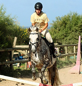 Belle Ile en Mer agence Allain équitation saut