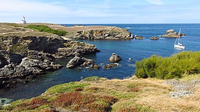 Belle Ile en Mer agence Allain falaise mer