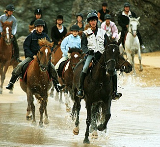 Belle Ile en Mer agence Allain cheval galop eau