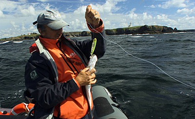 Belle Ile en Mer agence Allain bateau poisson pêche