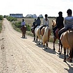 Belle Ile en Mer agence Allain promenade avec les chevaux