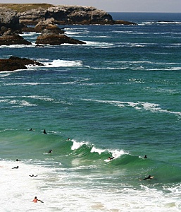 Belle Ile en Mer agence Allain surfer sur la vague